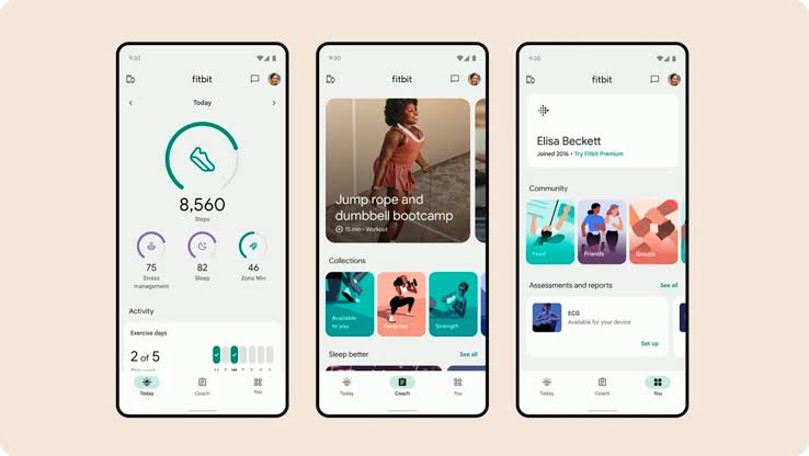 UI/UX Design (3 Months)